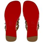 Christian Louboutin Charja - Image 5